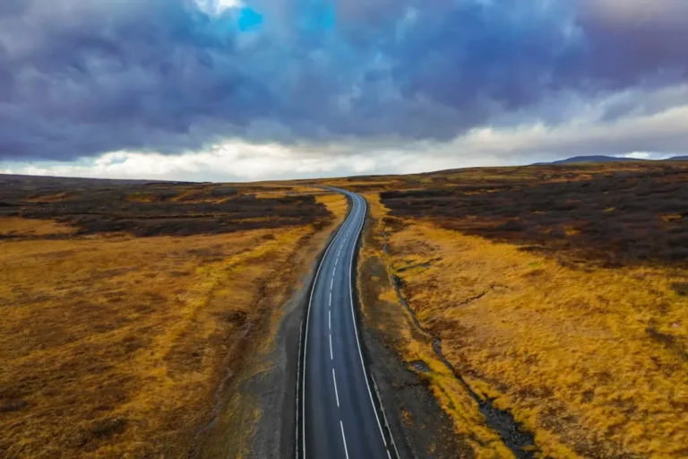 Best Songs for Road Trips and Live Shows